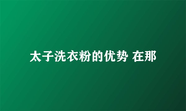 太子洗衣粉的优势 在那
