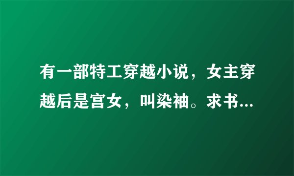 有一部特工穿越小说，女主穿越后是宫女，叫染袖。求书名（女主是特工）