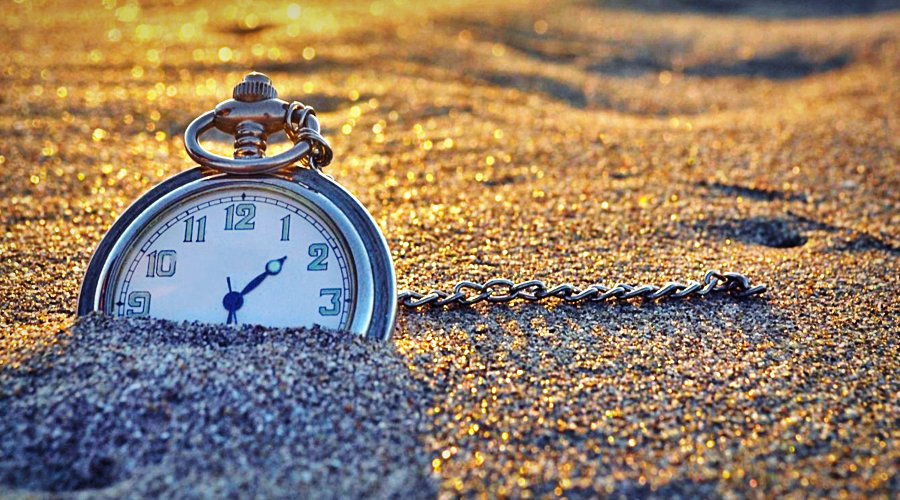 中国学者发现5亿多年前四不像动物，四不像动物长啥样呢？