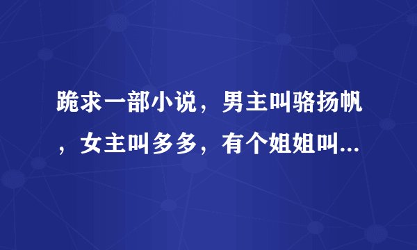 跪求一部小说，男主叫骆扬帆，女主叫多多，有个姐姐叫唯一，多多是爸爸的私生女儿，唯一是妈妈的私生女儿