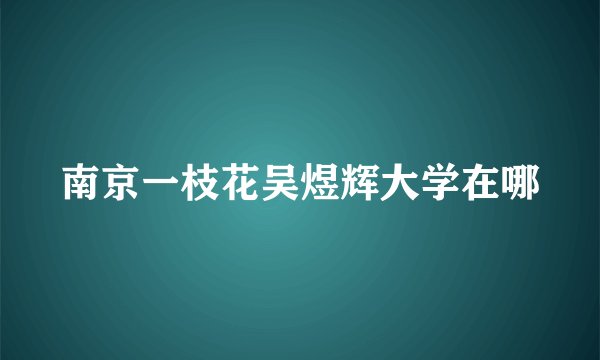 南京一枝花吴煜辉大学在哪