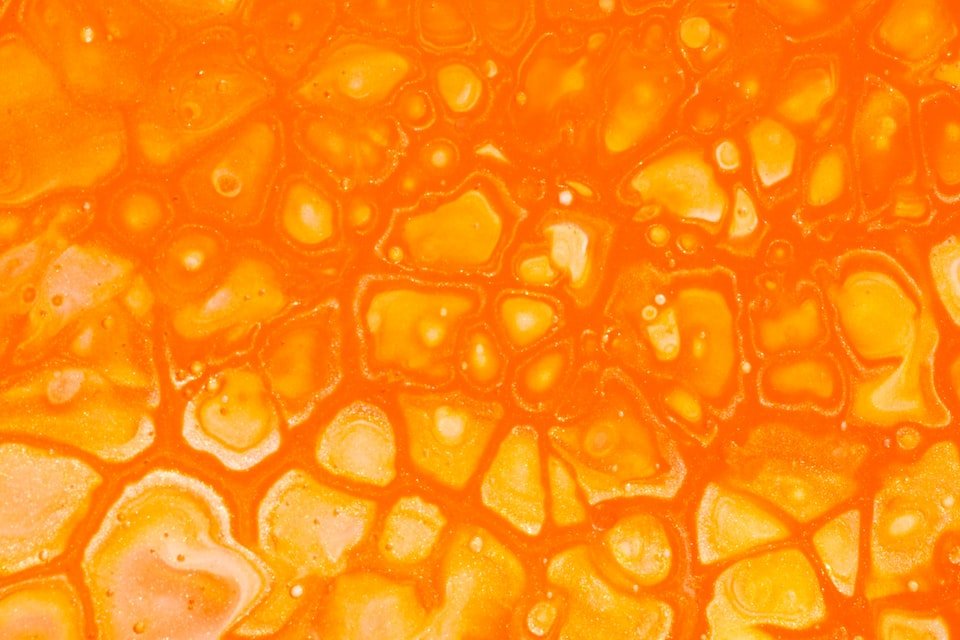 关于生活常识的选择题及答案有哪些呢