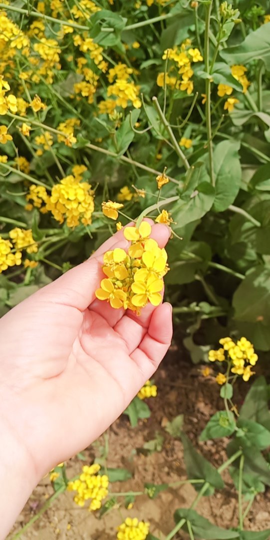 你见过最浪的女生是什么样的