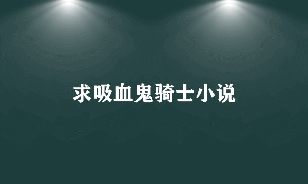 求吸血鬼骑士小说