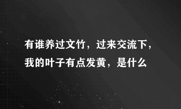 有谁养过文竹，过来交流下，我的叶子有点发黄，是什么