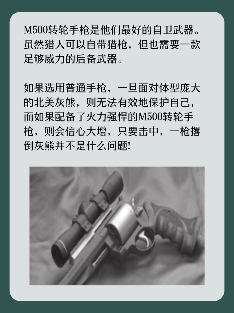 美国史密斯-韦森M500转轮手枪