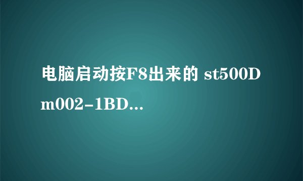 电脑启动按F8出来的 st500Dm002-1BD142是什么