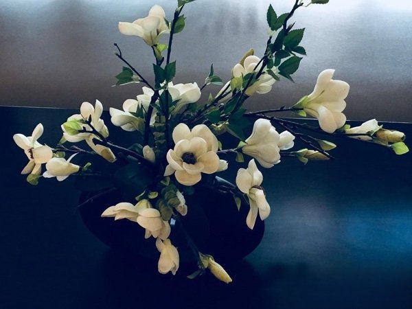 吹海边的风弥漫在夜空是什么歌，风情万种歌曲介绍