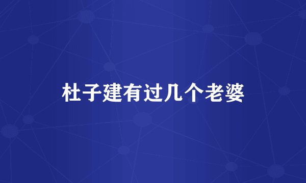 杜子建有过几个老婆