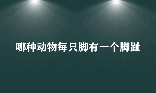 哪种动物每只脚有一个脚趾