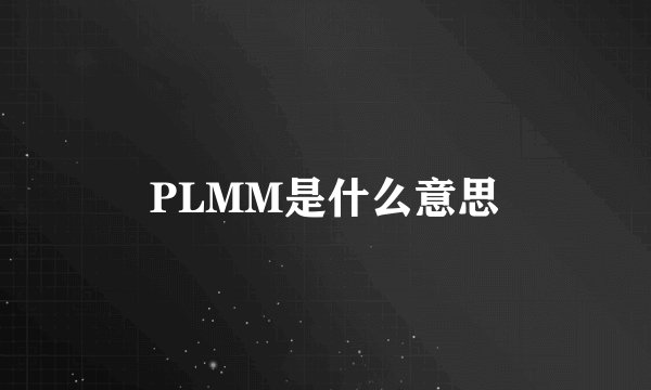 PLMM是什么意思