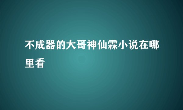 不成器的大哥神仙霖小说在哪里看