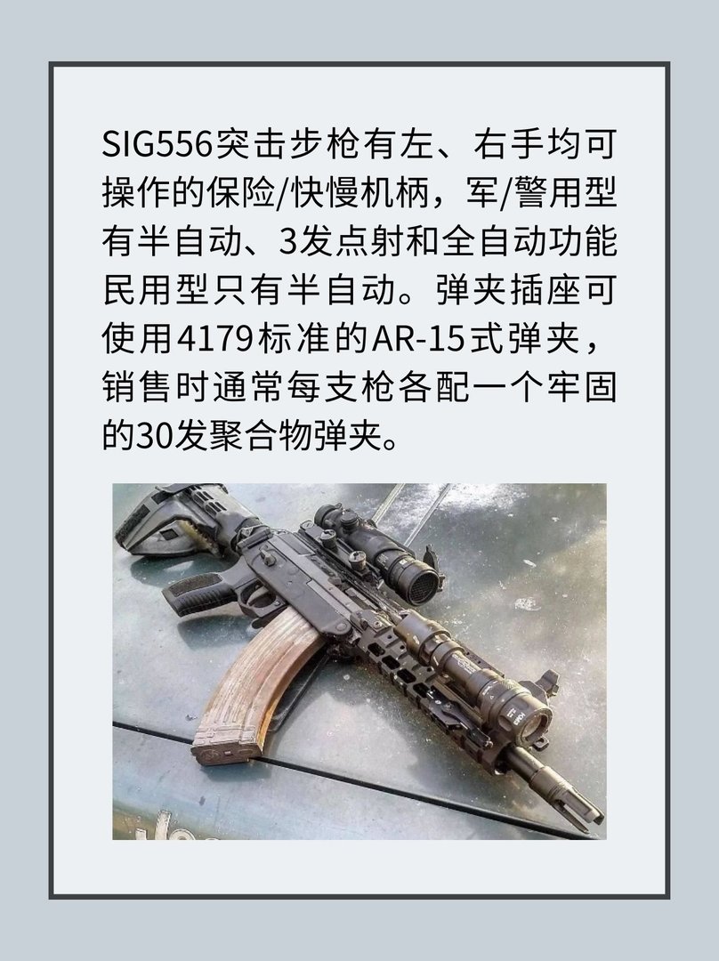 SIG 556突击步枪
