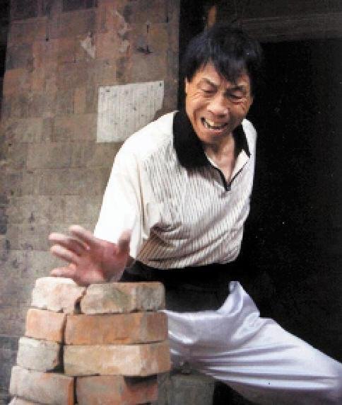 宋氏通背拳的介绍