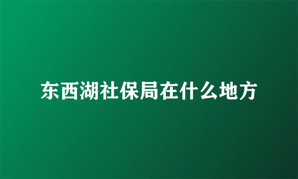 东西湖社保局在什么地方