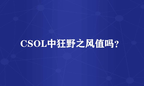 CSOL中狂野之风值吗？