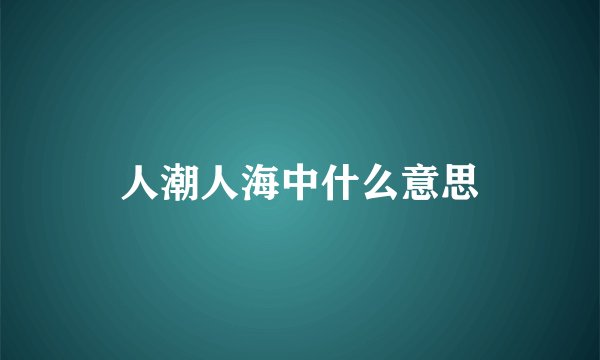 人潮人海中什么意思