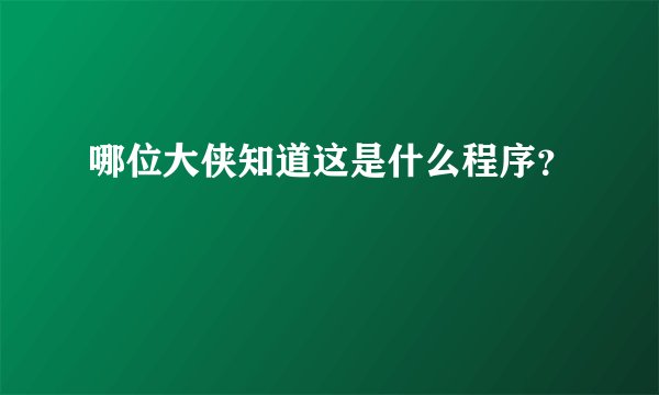 哪位大侠知道这是什么程序？