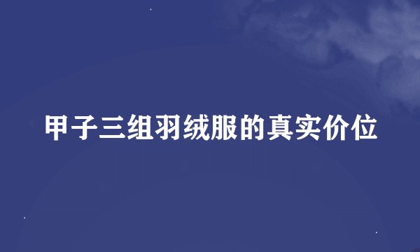 甲子三组羽绒服的真实价位