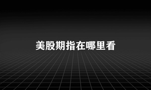 美股期指在哪里看