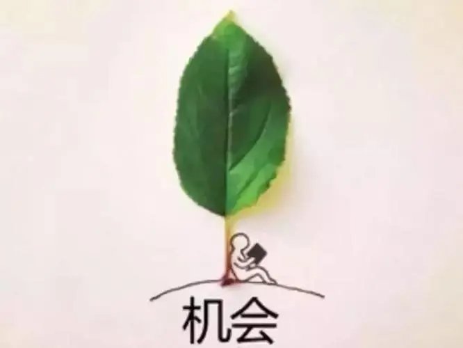 opportunity是什么意思？