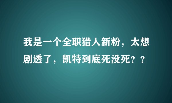 我是一个全职猎人新粉，太想剧透了，凯特到底死没死？？