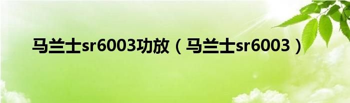 马兰士sr6003功放马兰士sr6003