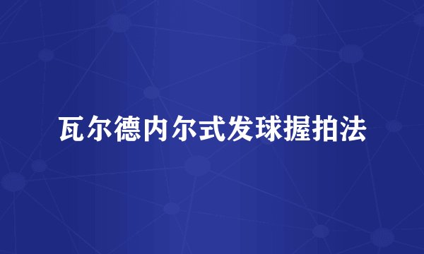 瓦尔德内尔式发球握拍法