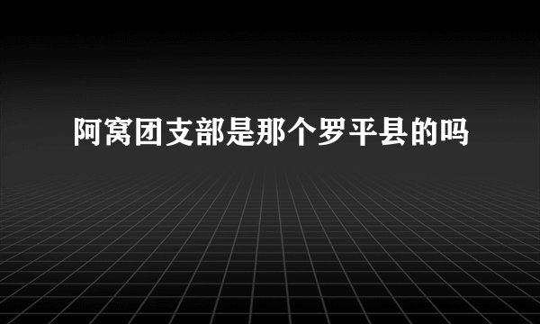 阿窝团支部是那个罗平县的吗