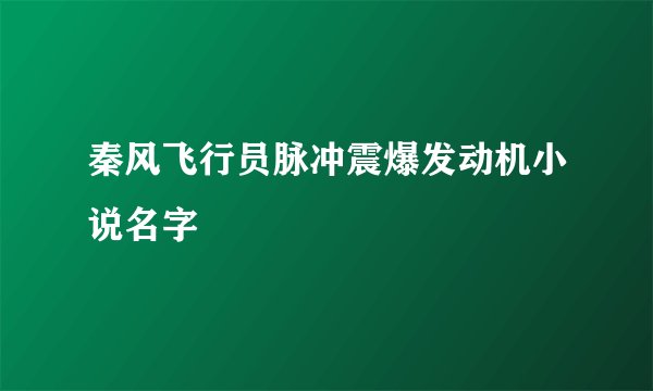 秦风飞行员脉冲震爆发动机小说名字