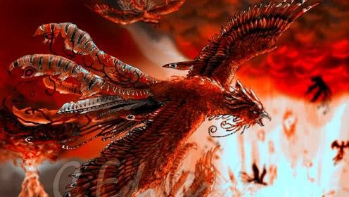 anastasia这个英文名怎么样？