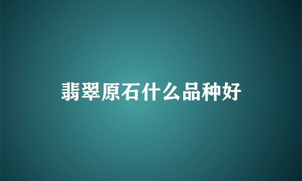 翡翠原石什么品种好