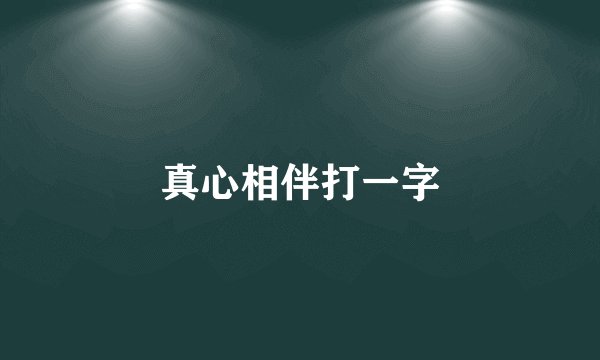 真心相伴打一字