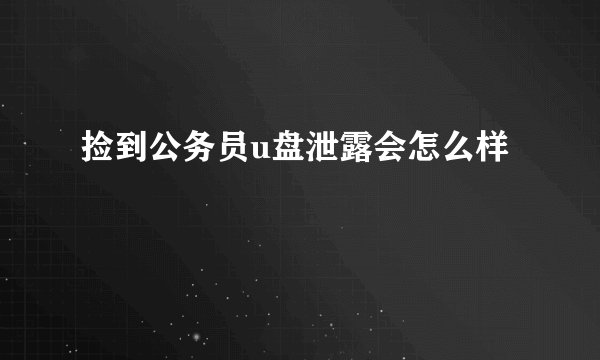 捡到公务员u盘泄露会怎么样