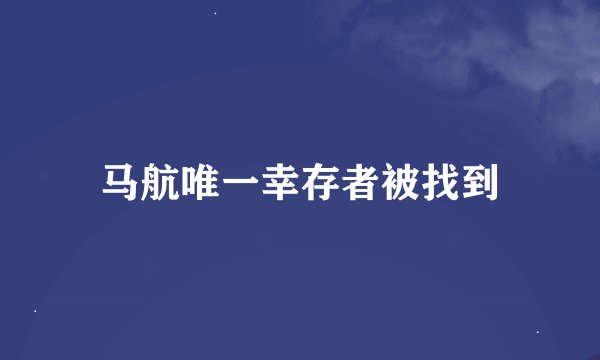 马航唯一幸存者被找到