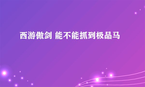 西游傲剑 能不能抓到极品马