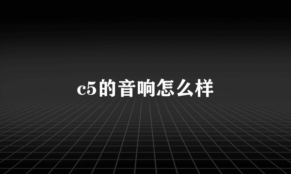 c5的音响怎么样