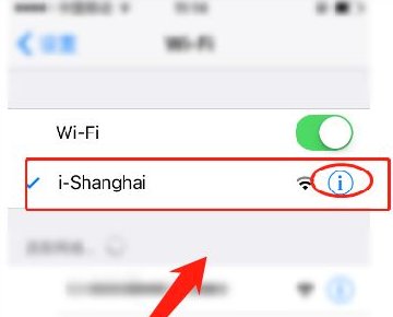 苹果公共wifi密码怎么输入