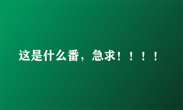 这是什么番，急求！！！！