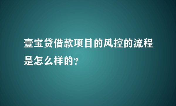 壹宝贷借款项目的风控的流程是怎么样的？
