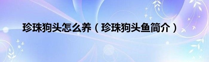 珍珠狗头怎么养珍珠狗头鱼简介