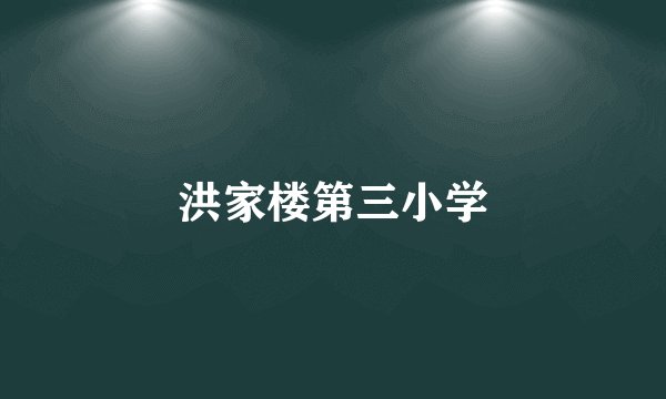 洪家楼第三小学