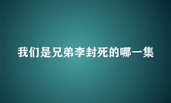 我们是兄弟李封死的哪一集