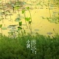 二十四节气分别是什么？