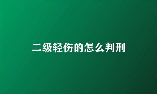 二级轻伤的怎么判刑