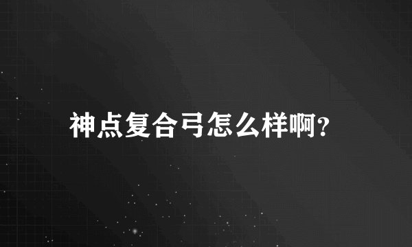 神点复合弓怎么样啊?