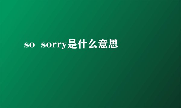 so  sorry是什么意思