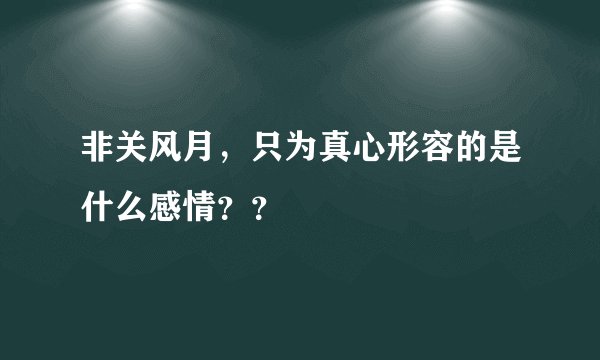 非关风月，只为真心形容的是什么感情？？