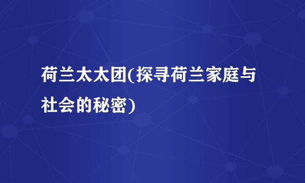 荷兰太太团(探寻荷兰家庭与社会的秘密)