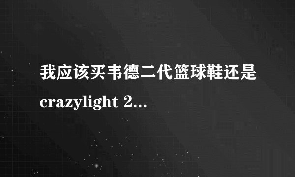我应该买韦德二代篮球鞋还是crazylight 2我是后卫。我要在去篮球训练营之前买一双鞋，我应该买哪双？请